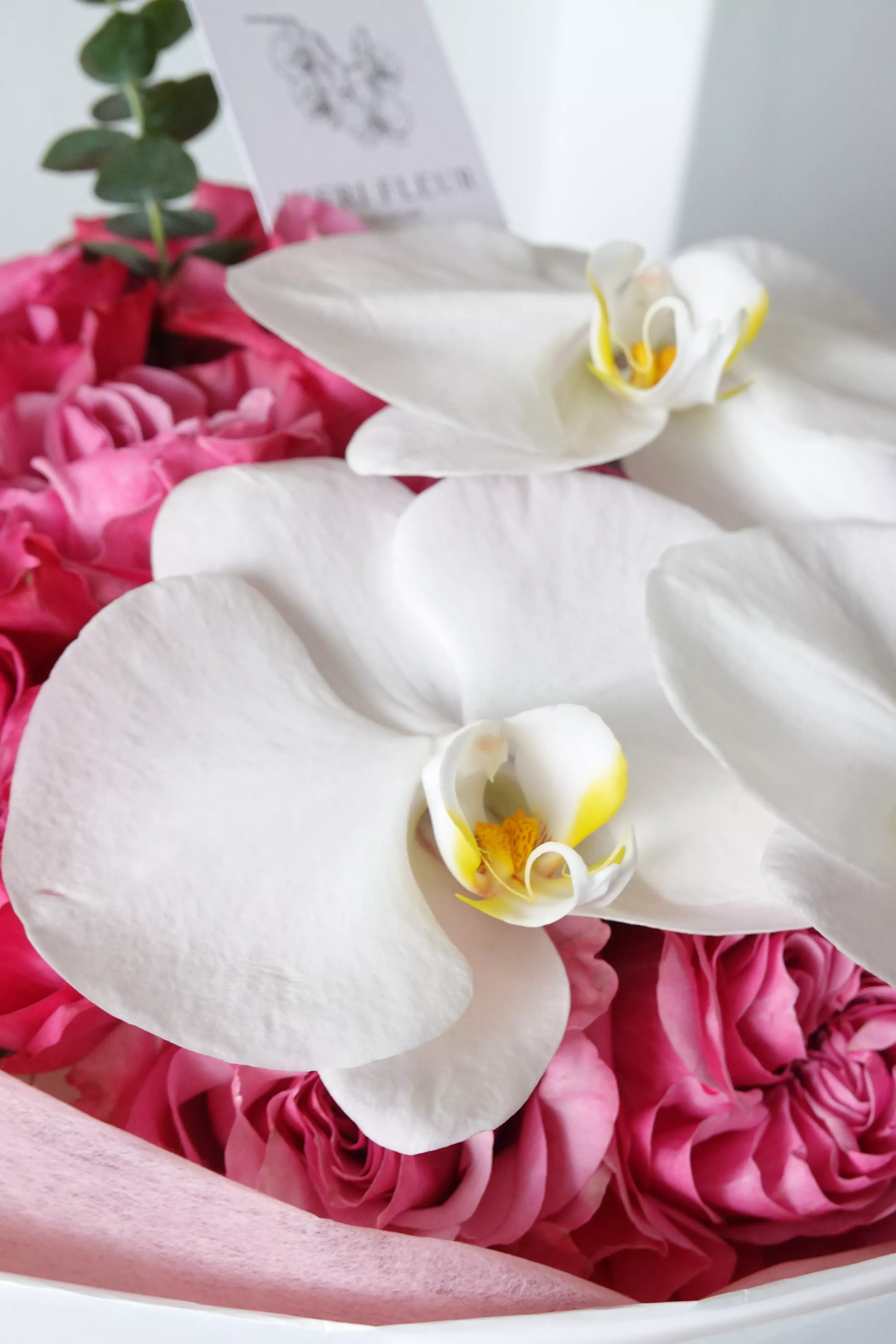 Romance Sonata with Orchid